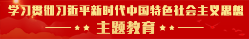 學(xué)習(xí)貫徹習(xí)近平新時(shí)代中國特色社會主義思想主題教育